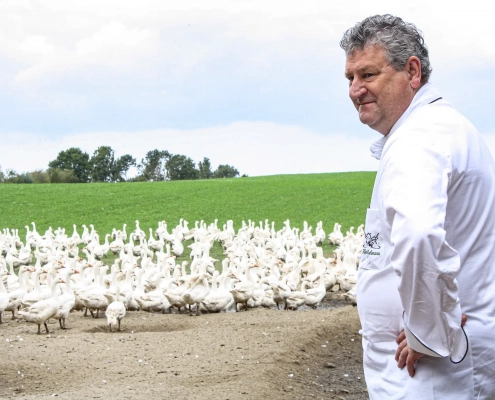 Ein Koch in weißer Uniform beobachtet eine Herde weißer Enten auf einem Bauernhof im Freien unter leicht bewölktem Himmel und denkt über den Festtagsgans für das Weihnachtsfest im Landhaus Scherrer nach. - Ihr Landhaus Scherrer aus Hamburg